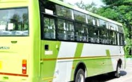 SPECIAL MO BUS SERVICE INTRODUCED FOR RATHA YATRA
