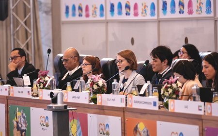 3RD G20 INFRASTRUCTURE WORKING GROUP MEETING BEGINS IN RISHIKESH