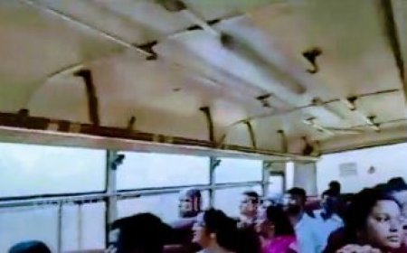 BUS CARRYING VISITORS GETS STUCK INSIDE LION SAFARI AT NANDANKANAN ZOO