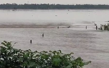 RAINWATER INUNDATES JAGATSINGHPUR-CUTTACK MAIN ROAD