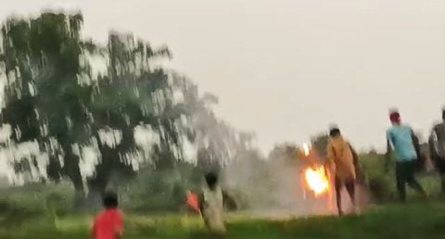 TWO MEMBERS OF ELEPHANT SQUAD DETAINED FOR HURLING FIREBALLS AT ELEPHANT HERD