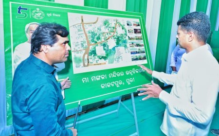 COMPREHENSIVE PLAN FOR DEVELOPMENT OF BETEL VINE FARMERS OF PURI DISTRICT TO BE PREPARED