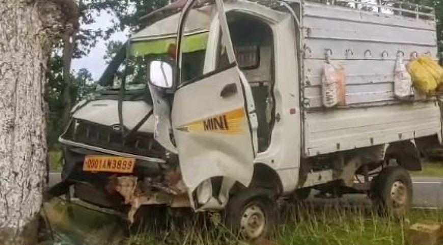 VAN CARRYING LABOURERS OVERTURNS IN MAYURBHANJ, 27 INJURED