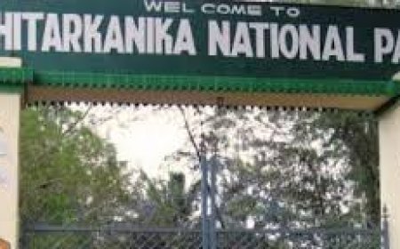 CENSUS OF MIGRATORY BIRDS BEGIN AT BHITARKANIKA NATIONAL PARK