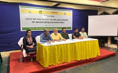 CSOS CALL UPON GOVERNMENT TO PROVIDE SEEDS FOR SECOND CROP TO FARMERS BY MID-OCTOBER