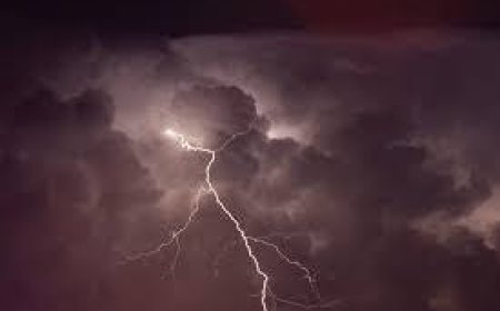 THREE PERSONS, 13 CATTLE KILLED DUE TO LIGHTNING STRIKE