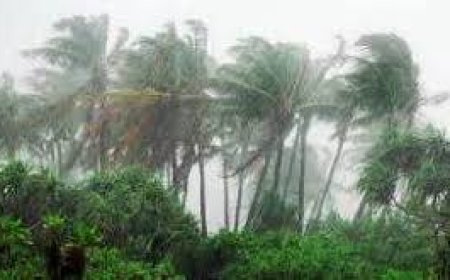 ଅକ୍ଟୋବର ପ୍ରଥମ ସପ୍ତାହରେ ବାତ୍ୟା ସମ୍ଭାବନା