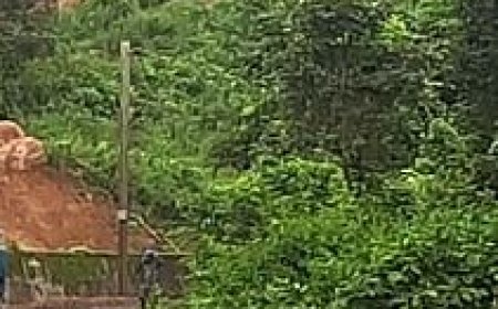 BOULDER FALLS ON RAILWAY TRACKS, TRAIN SERVICES AFFECTED IN KORAPUT