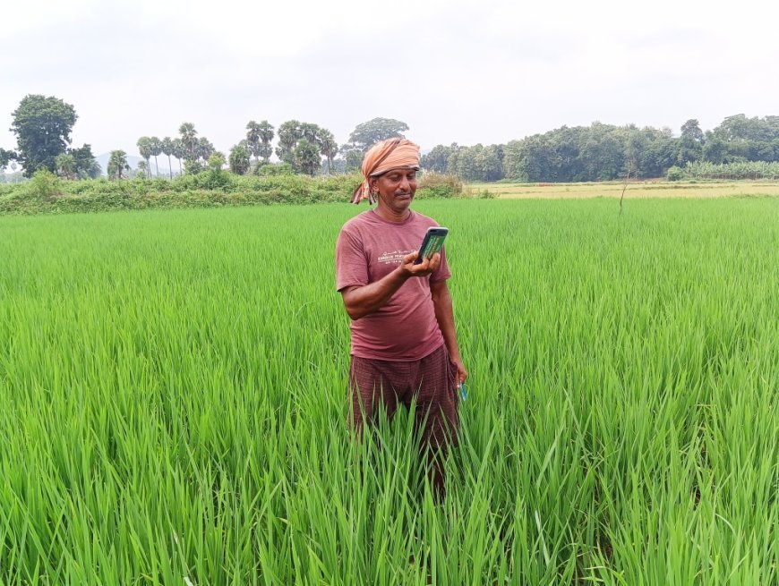 ANGUL FARMER IMPROVES FARMING PRACTICES SIGNIFICANTLY WITH RELIANCE FOUNDATION'S SUPPORT