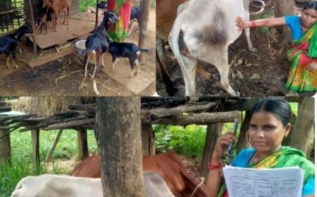 BABITA FULFILS HER DREAM TO BECOME SUCCESSFUL LIVESTOCK OWNER BY USING RELIANCE FOUNDATION'S INFORMATION SERVICES