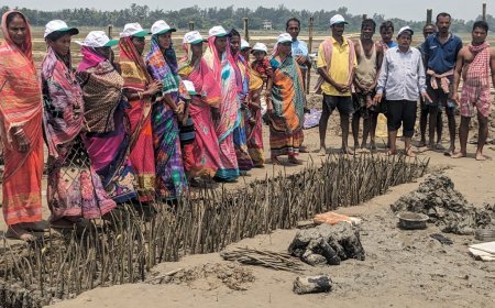 CHAMPIONING NATURE-BASED SOLUTIONS FOR DISASTER MITIGATION, RELIANCE FOUNDATION SUPPORT ESTABLISHMENT OF COMMUNITY LED MANGROVE NURSERY IN BALASORE