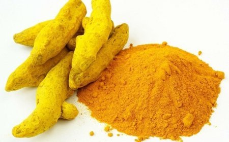 କନ୍ଧମାଳ ହଳଦୀ ପାଇଁ ବୋର୍ଡ ଗଠନ : କେନ୍ଦ୍ର ସରକାରଙ୍କ ନିଷ୍ପତ୍ତିକୁ କନ୍ଧମାଳ ବାସୀଙ୍କ ପ୍ରଶଂସା