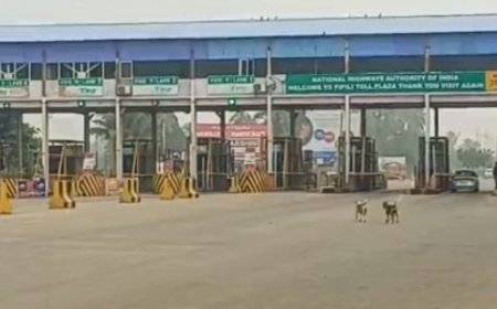 ପିପିଲି ଟୋଲ୍ ଗେଟ୍ ରେ ଫାଙ୍କା ଗୁଳିଚାଳନା, ୫ ଗିରଫ