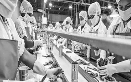 ରାଜ୍ୟରେ କୃଷିଭିତ୍ତିକ ଶିଳ୍ପର ସ୍ବାସ୍ଥ୍ୟ