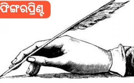 ‘ଦ ଟ୍ରାଏଲ୍‌’