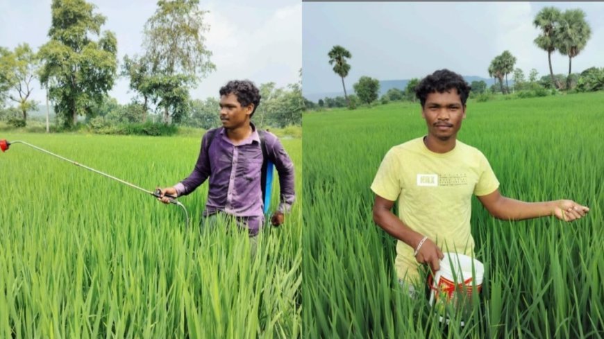 RELIANCE FOUNDATION PAVES WAY FOR IMPROVEMENT OF SOURAV PRADHAN'S AGRICULTURAL PRODUCTIVITY
