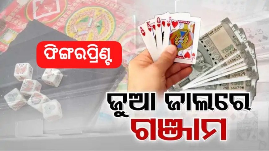 ଜୁଆ ବାଜିରେ ଲାଗୁଛି ଜୀବନ, ସର୍ବସ୍ୱାନ୍ତ ହେବା ପରେ ବି ଛାଡୁନି ନିଶା