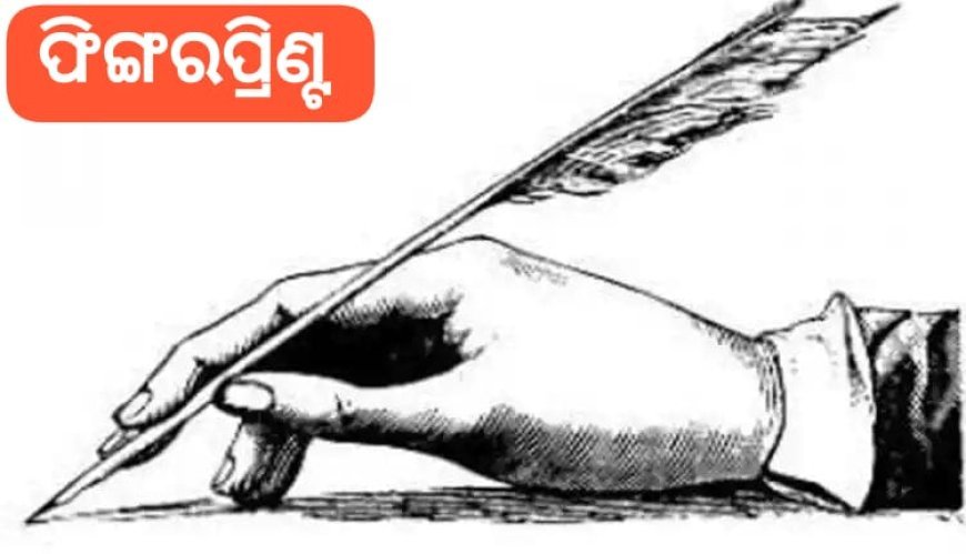 ‘ଦ ଟ୍ରାଏଲ୍’