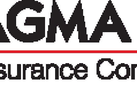 MAGMA HDI ILLUMINATES DIWALI FOR ECO-CONSCIOUS EVS AND HEVS OWNERS WITH SPECIALISED ‘BATTERY SECURE ADD ON’
