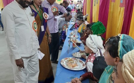 ଲିଲି ଇଣ୍ଟରନ୍ୟାସନାଲ ବିଦ୍ୟାଳୟରେ ବିଜ୍ଞାନ ଓ କଳା ପ୍ରଦର୍ଶନୀ ଅନୁଷ୍ଠିତ