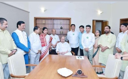 FORMER IAS OFFICER VK PANDIAN JOINS BJD