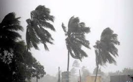 KORAPUT DISTRICT RECEIVES HIGHEST RAINFALL IN ODISHA