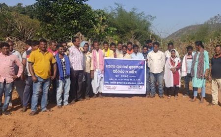 REVOLUTIONIZING AGRICULTURE IN ODISHA'S BALANGIR DISTRICT: POINTED GOURD CULTIVATION TAKES CENTER STAGE