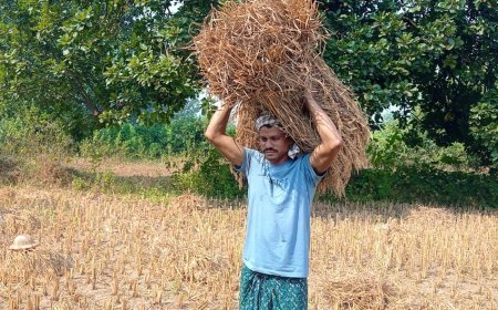 ANGUL FARMER SAFEGUARDS CROPS THROUGH EFFECTIVE FARMING PRACTICES INTRODUCED BY RELIANCE FOUNDATION DIGITAL FARM SCHOOL