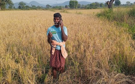 RELIANCE FOUNDATION'S DIGITAL FARM SCHOOL HELPS FARMER KEEP PESTS AT BAY