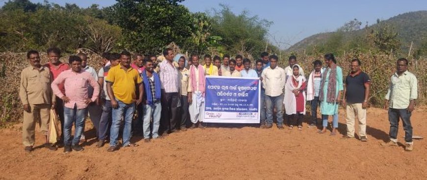 REVOLUTIONIZING AGRICULTURE IN ODISHA'S BALANGIR DISTRICT: POINTED GOURD CULTIVATION TAKES CENTER STAGE