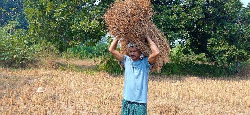 ANGUL FARMER SAFEGUARDS CROPS THROUGH EFFECTIVE FARMING PRACTICES INTRODUCED BY RELIANCE FOUNDATION DIGITAL FARM SCHOOL