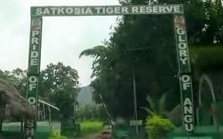 CROCODILE CENSUS BEGINS AT SATKOSIA TIGER RESERVE