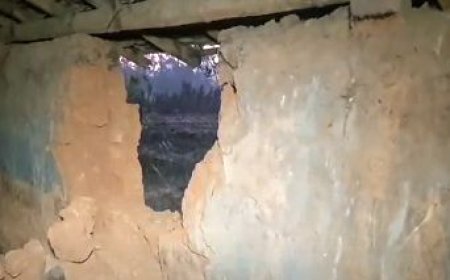 TWO TRAMPLED TO DEATH BY ELEPHANT