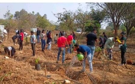 ROTARY BANGALORE MIDTOWN AND NUCLEUS OFFICE PARKS COLLABORATE TO GREEN BANGALORE UNIVERSITY CAMPUS