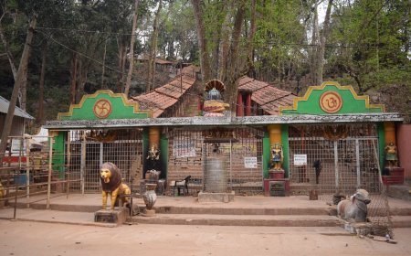 GUPTESWAR FOREST DECLARED AS BIO-DIVERSITY HERITAGE SITE