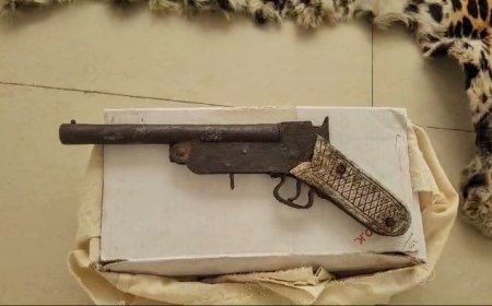 ବାଘଛାଲ ବେପାରୀ ଗିରଫ