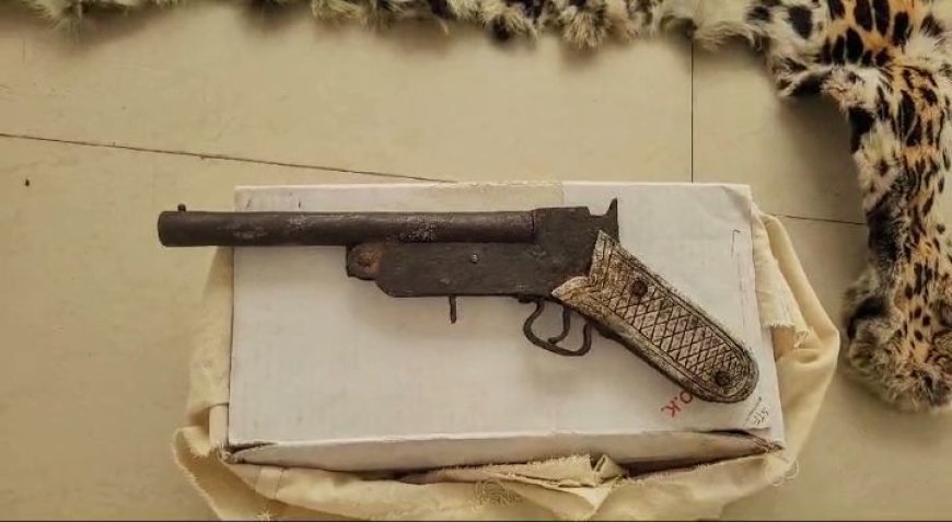 ବାଘଛାଲ ବେପାରୀ ଗିରଫ