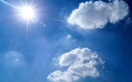 ଓଡ଼ିଶାରେ ଅଶ୍ୱାଭାବିକ ଭାବେ ବଢ଼ିବ ତାତି