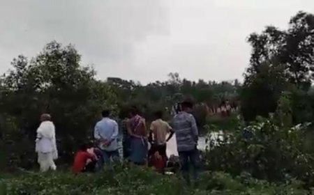 ଯୁବକଙ୍କୁ ଟାଣି ନେଲା କୁମ୍ଭୀର