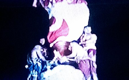 MAHADEEPA PLACED ATOP LORD LINGARAJ TEMPLE
