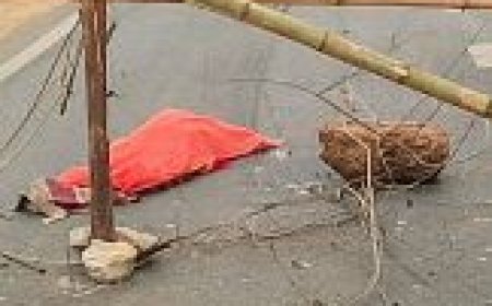 WOMAN DIES AFTER BEING RUN OVER BY PICK-UP VAN; LOCALS BLOCK ROAD