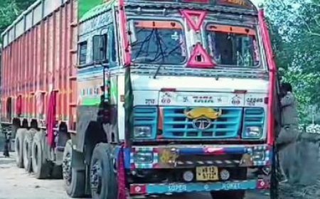 ଟ୍ରକ୍ ରୁ ୧୫୦ ଗୋରୁ ଉଦ୍ଧାର