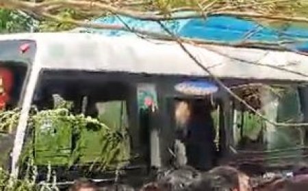 OVER 10 INJURED AS BUS HITS ROADSIDE TREE