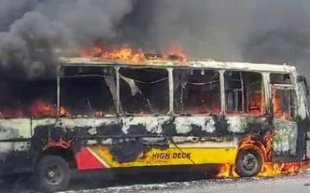 ଢେଙ୍କାନାଳରେ ଜଳିଗଲା ବସ୍