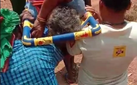 ଜଙ୍ଗଲ ରାସ୍ତାରେ ରୋଗୀଙ୍କୁ ୪ କି.ମି ବୋହିଆଣିଲେ ୧୦୮ ଆମ୍ବୁଲାନ୍ସ କର୍ମଚାରୀ