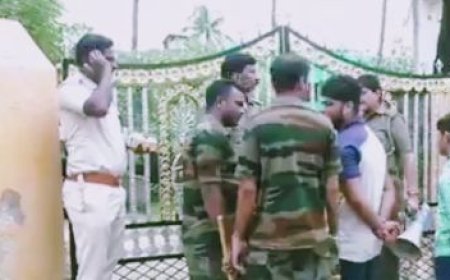 ବାରିପଦା ସହରରେ ବାଘ