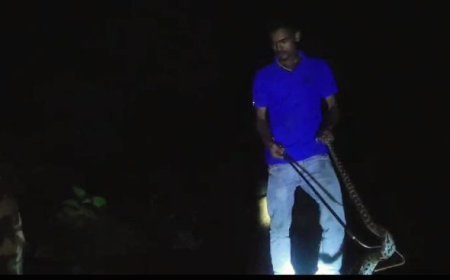 ଢେଙ୍କାନାଳରେ ଉଦ୍ଧାର ହେଲା ୩ ଫୁଟ୍ ଲମ୍ବର ଅଜଗର ସାପ