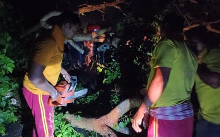 ODISHA FIRE SERVICES PERSONNEL CLEAR FALLEN TREES AFTER THUNDERSTORM
