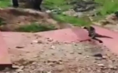 ଭାଙ୍ଗିଲା ମାଲକାନଗିରି ବିମାନବନ୍ଦର ପାଚେରୀ