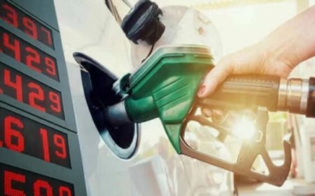 Petrol And Diesel Price Today: Check Latest Fuel Prices In Your City On June 24